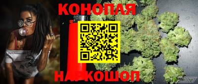 шишки Севастополь
