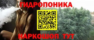 шишки Севастополь