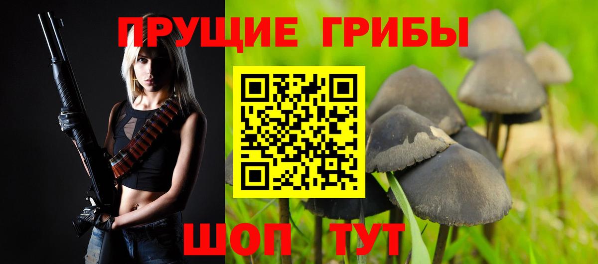 Галлюциногенные грибы мухоморы Нижнеудинск
